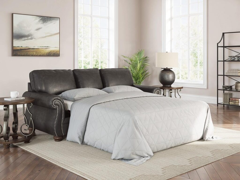 Chasemore Granite Queen Sofa Sleeper