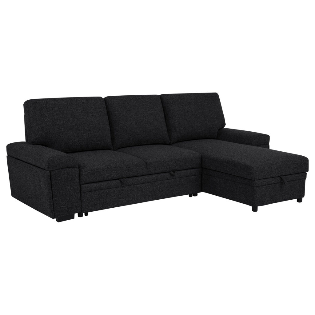 Demko Black Storage Chaise Sleeper Sectional Sofa with Speaker