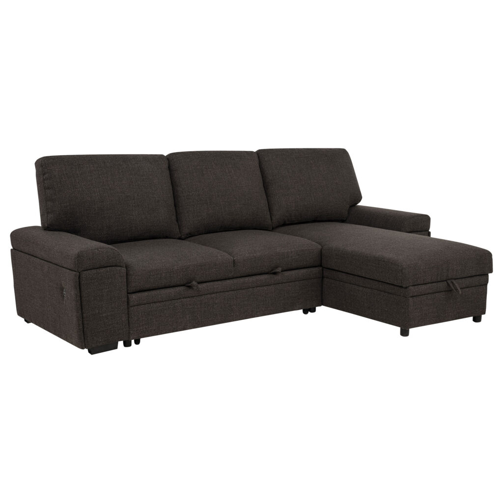 Demko Brown Storage Chaise Sleeper Sectional Sofa with Speaker