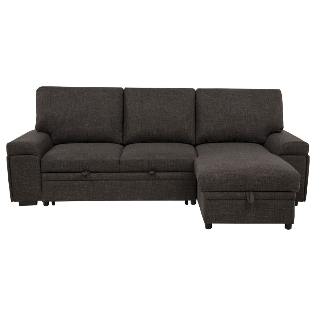 Demko Brown Storage Chaise Sleeper Sectional Sofa with Speaker