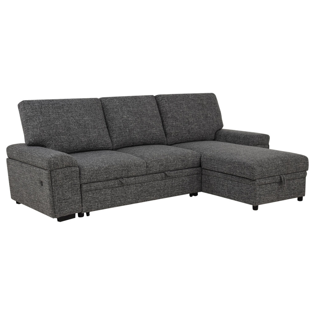 Demko Granite Storage Chaise Sleeper Sectional Sofa with Speaker