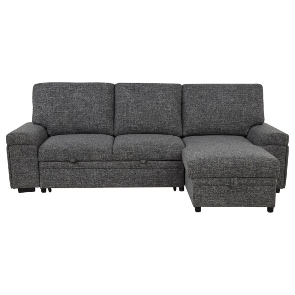 Demko Granite Storage Chaise Sleeper Sectional Sofa with Speaker